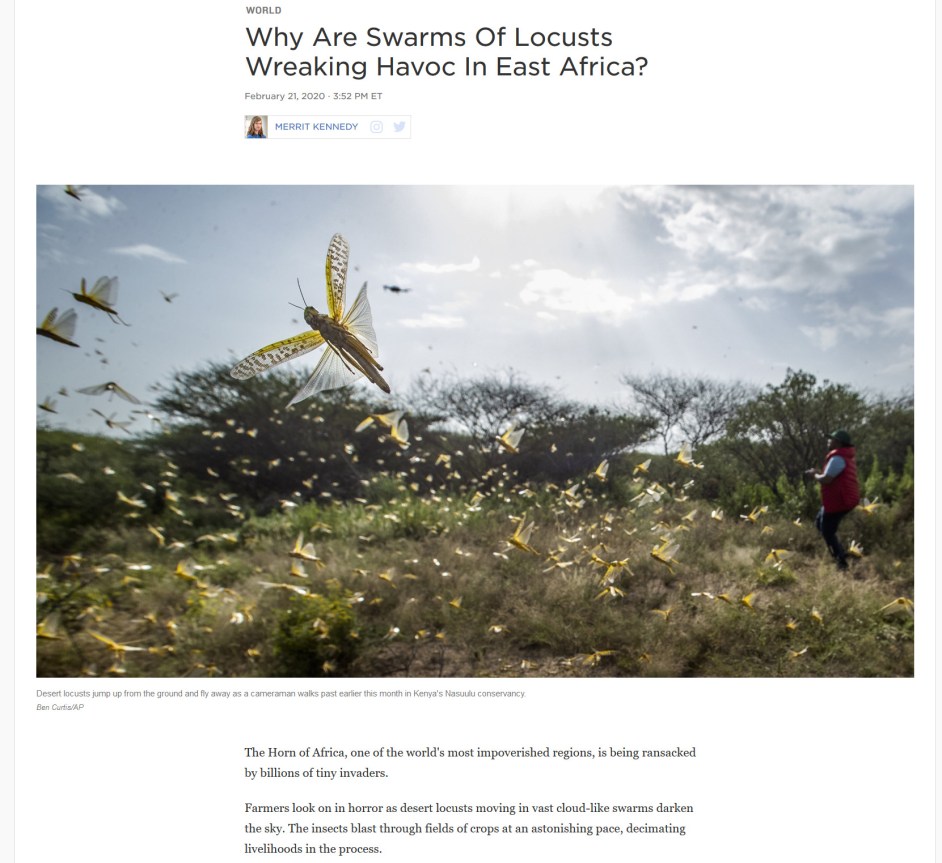 Screenshot_2020-03-19 Why Are Swarms Of