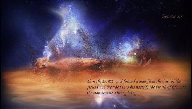 ADAM’S RIB – THE ALPHA – Whitestone Fellowship